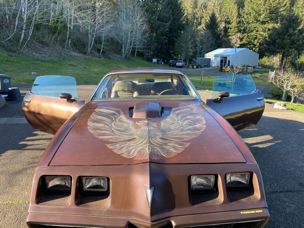 1979 Trans Am built 6 6 Tremec 5 speed for sale in oregon coast, OR – photo 2