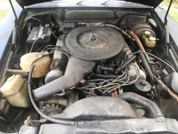1976 Mercedes-Benz SL-Class SL for sale in Brooklyn, NY – photo 5