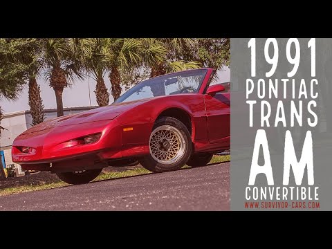 1991 Pontiac Firebird Trans Am for sale in Palmetto, FL – photo 2
