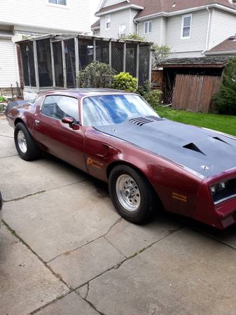 1978 Pontiac Trans Am for sale in Lynbrook, NY – photo 2