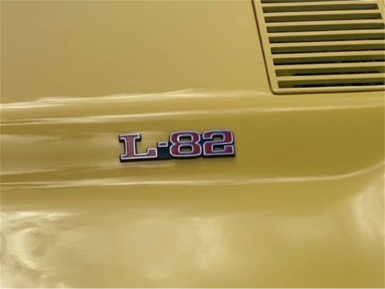 1975 Chevrolet Corvette for sale in Cadillac, MI – photo 9