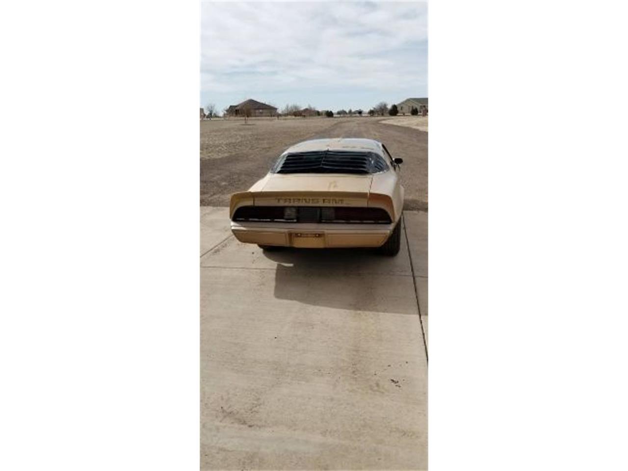 1979 Pontiac Firebird Trans Am for sale in Cadillac, MI – photo 13