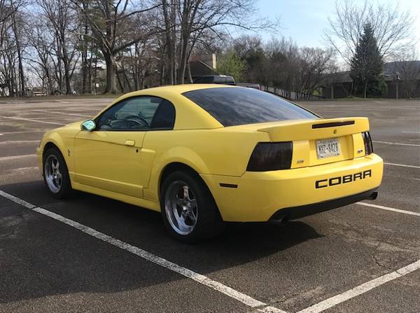 2003 Ford Cobra SVT Terminator for sale in Other, NY