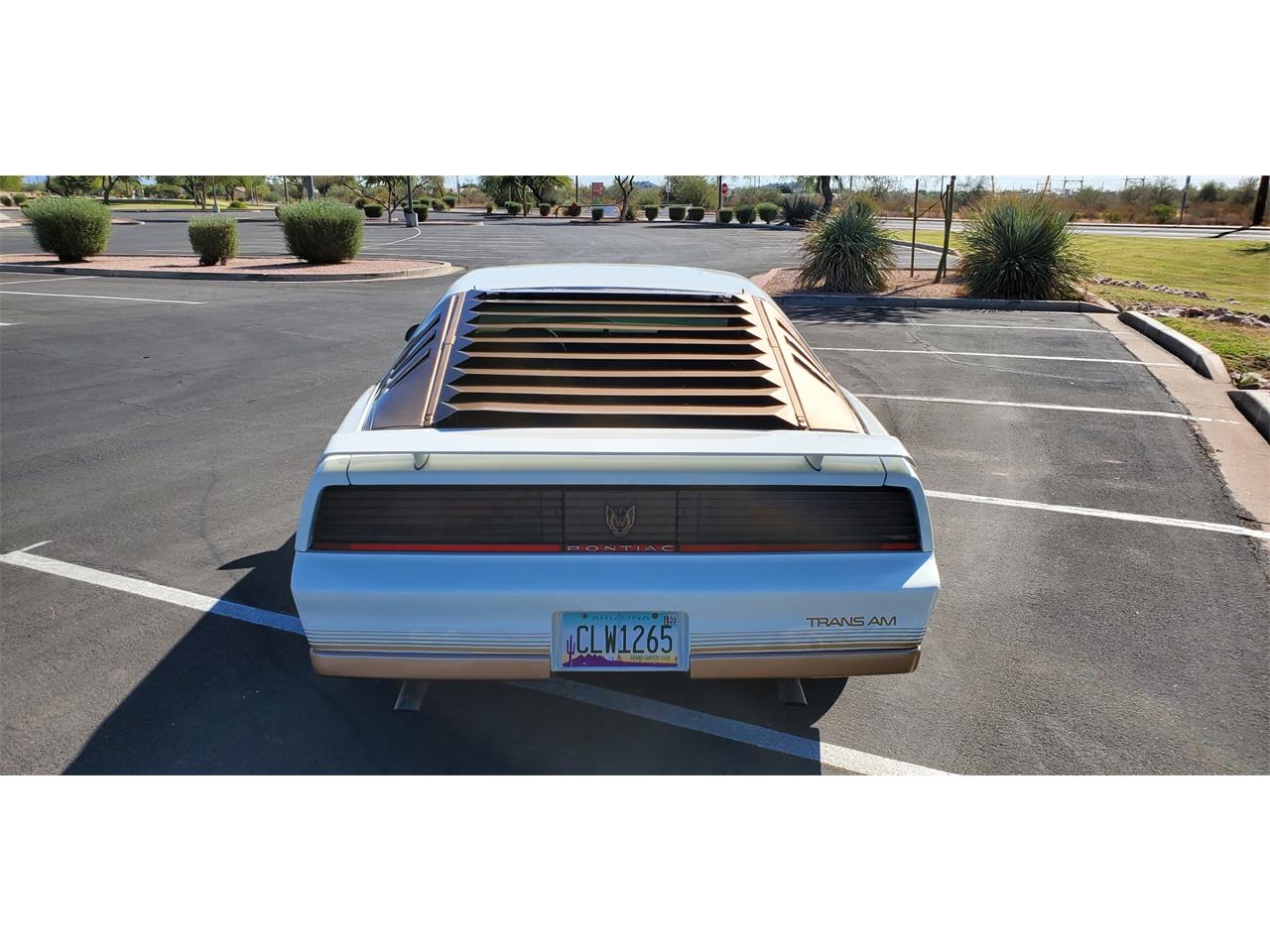 1984 Pontiac Firebird Trans Am for sale in Mesa, AZ – photo 3