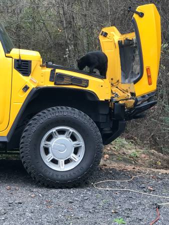 2004 Hummer H2. 93k miles - cars & trucks - by owner - vehicle... for sale in Roberta, GA – photo 13