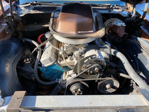 1979 Trans Am built 6 6 Tremec 5 speed for sale in oregon coast, OR – photo 10