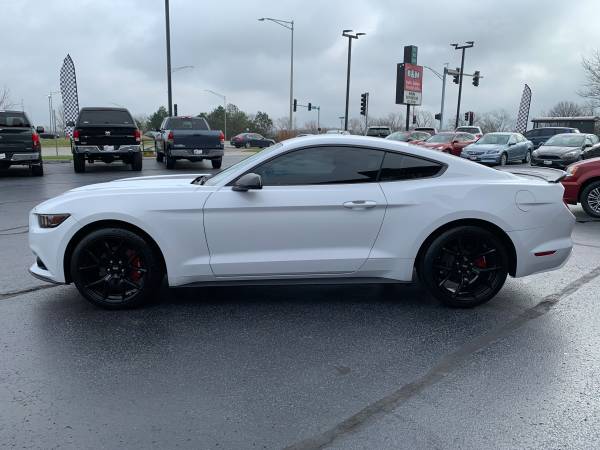 2016 Ford Mustang EcoBoost - White - Blacked out! 62k miles! - cars... for sale in Oak Forest, IL – photo 4