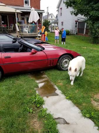 1987 Chevy Corvette convertable for sale in Jersey Shore, PA – photo 3