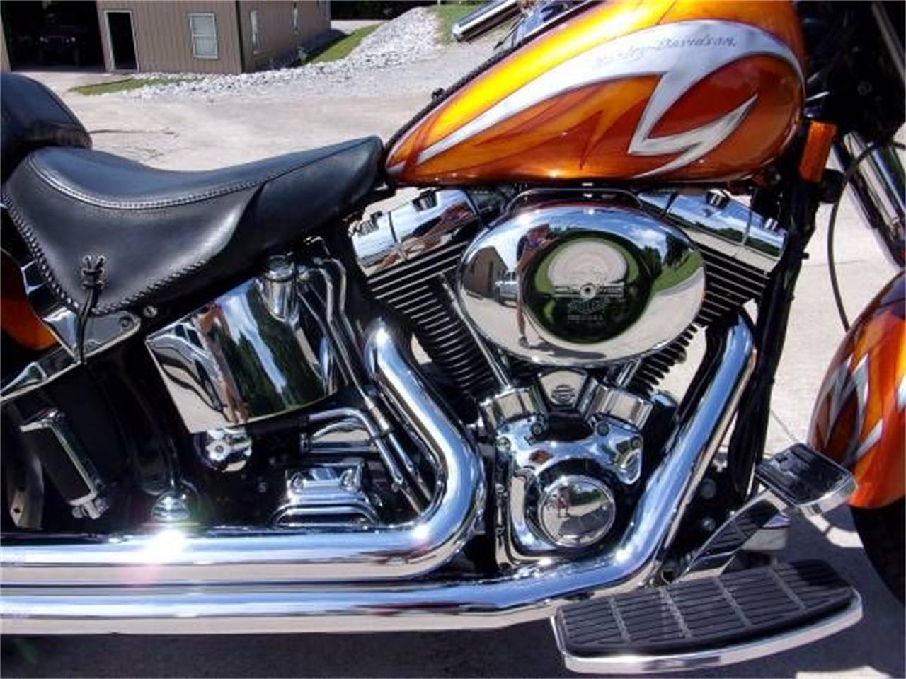 2001 Harley-Davidson Fat Boy for sale in Cadillac, MI – photo 11