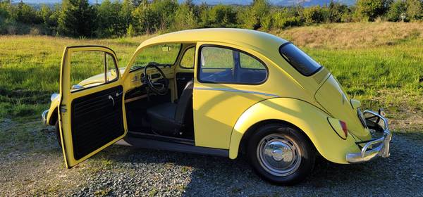 1965 Volkswagen Beetle for sale in Mount Vernon, WA – photo 2