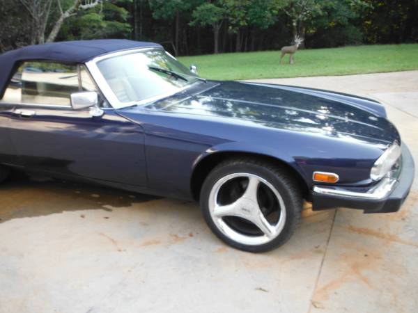 Jaguar XJS Convertable for sale in DAWSONVILLE, GA – photo 8