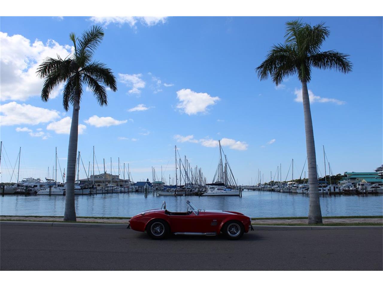 1965 Shelby Cobra for sale in Palmetto, FL – photo 9