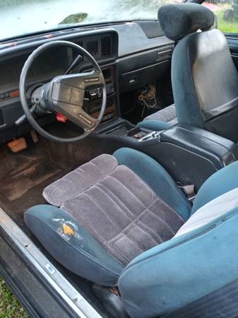 1986 Thunderbird Coupe - cars & trucks - by owner - vehicle... for sale in Rowland, NC – photo 6