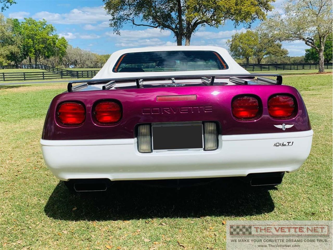 1995 Chevrolet Corvette for sale in Sarasota, FL – photo 5