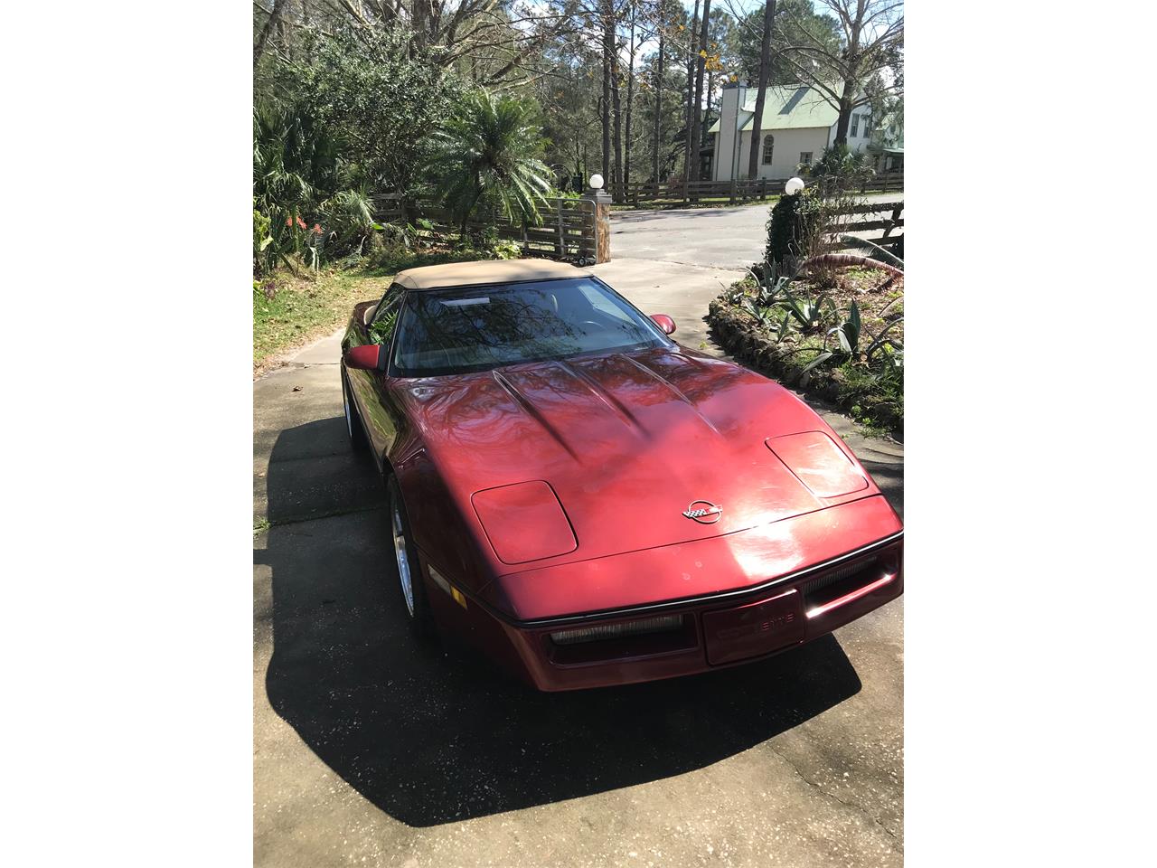 1987 Chevrolet Corvette for sale in Mt. Dora, FL – photo 3