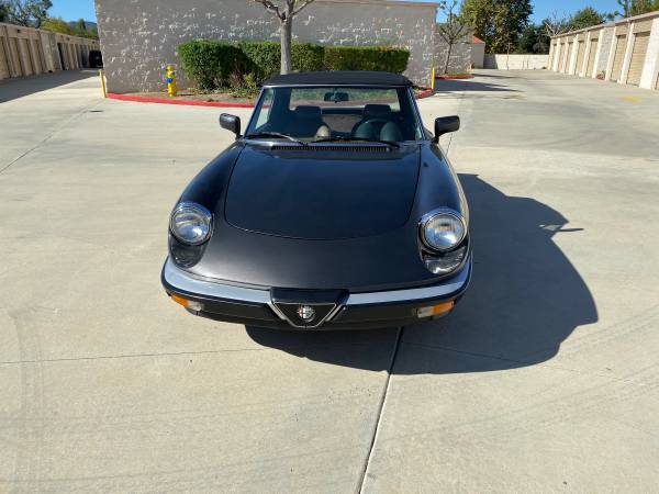 Alfa Romeo Spider for sale in Thousand Oaks, CA – photo 3