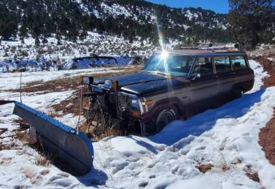 1979 Jeep Grand Wagoneer for sale in Mc Coy, CO – photo 2