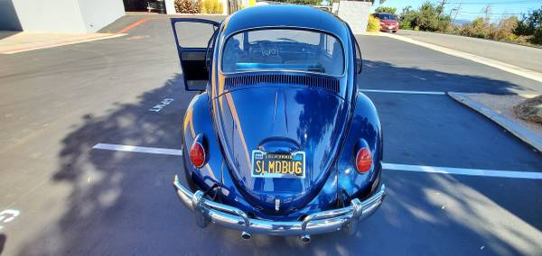 100% RESTORED 65 EURO BUG for sale in San Diego, CA – photo 4