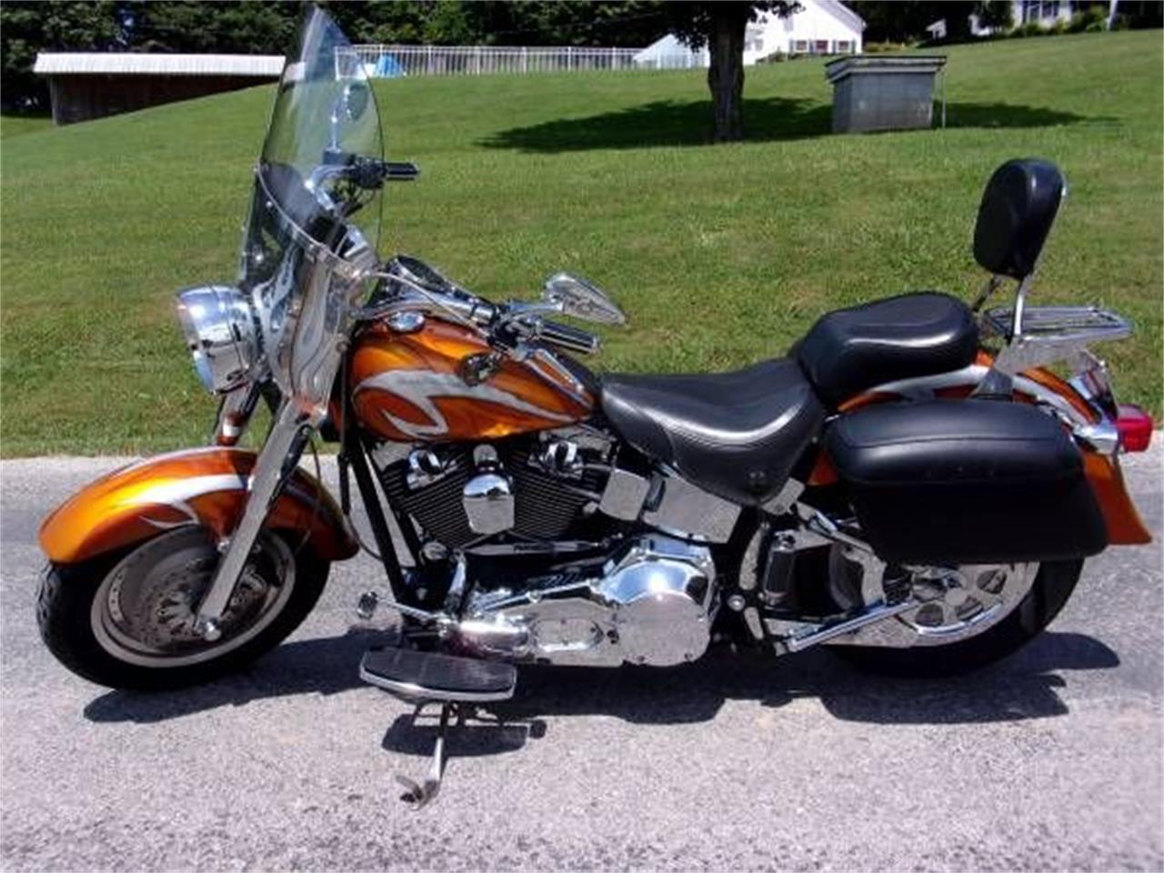 2001 Harley-Davidson Fat Boy for sale in Cadillac, MI – photo 10