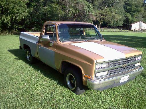 1987 CHEVY C1O SHORTBED - cars & trucks - by owner - vehicle... for sale in Elkton, DE – photo 3