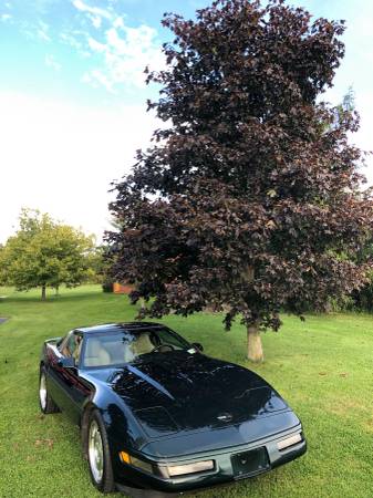 1995 Corvette LT1 for sale in Brownville, NY – photo 4