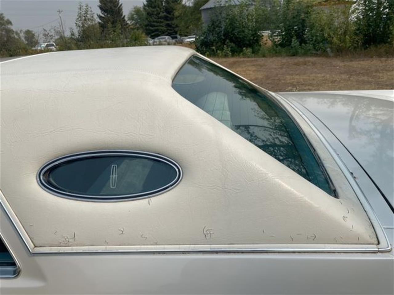 1977 Lincoln Mark V for sale in Cadillac, MI – photo 4