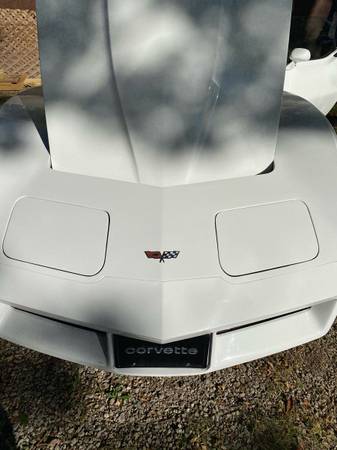 RARE 1982 CORVETTE - cars & trucks - by owner - vehicle automotive... for sale in Fort Wayne, IL – photo 10