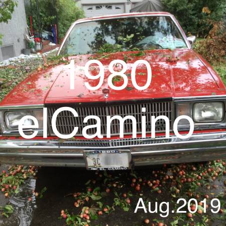 1980 eLCamino: one owner, stick on the floor Beautiful original for sale in Billings, MT – photo 2