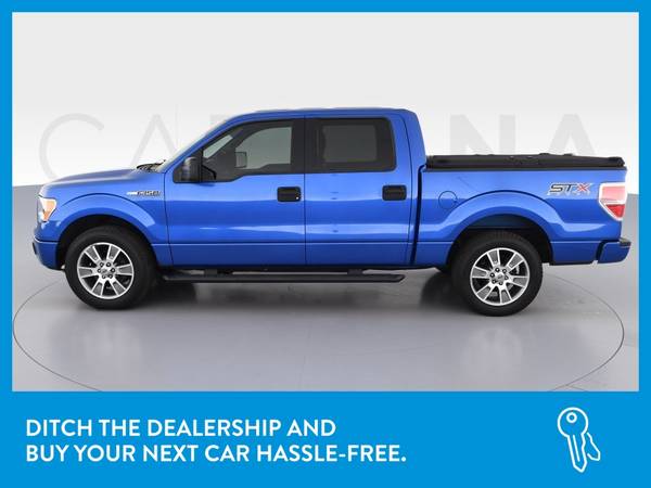2014 Ford F150 SuperCrew Cab STX Pickup 4D 5 1/2 ft pickup Blue for sale in Morgantown , WV – photo 4