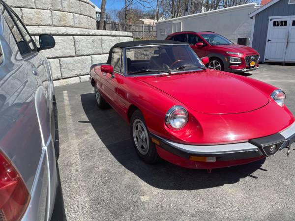 1986 Alfa Romeo spider for sale in Montrose, PA – photo 7