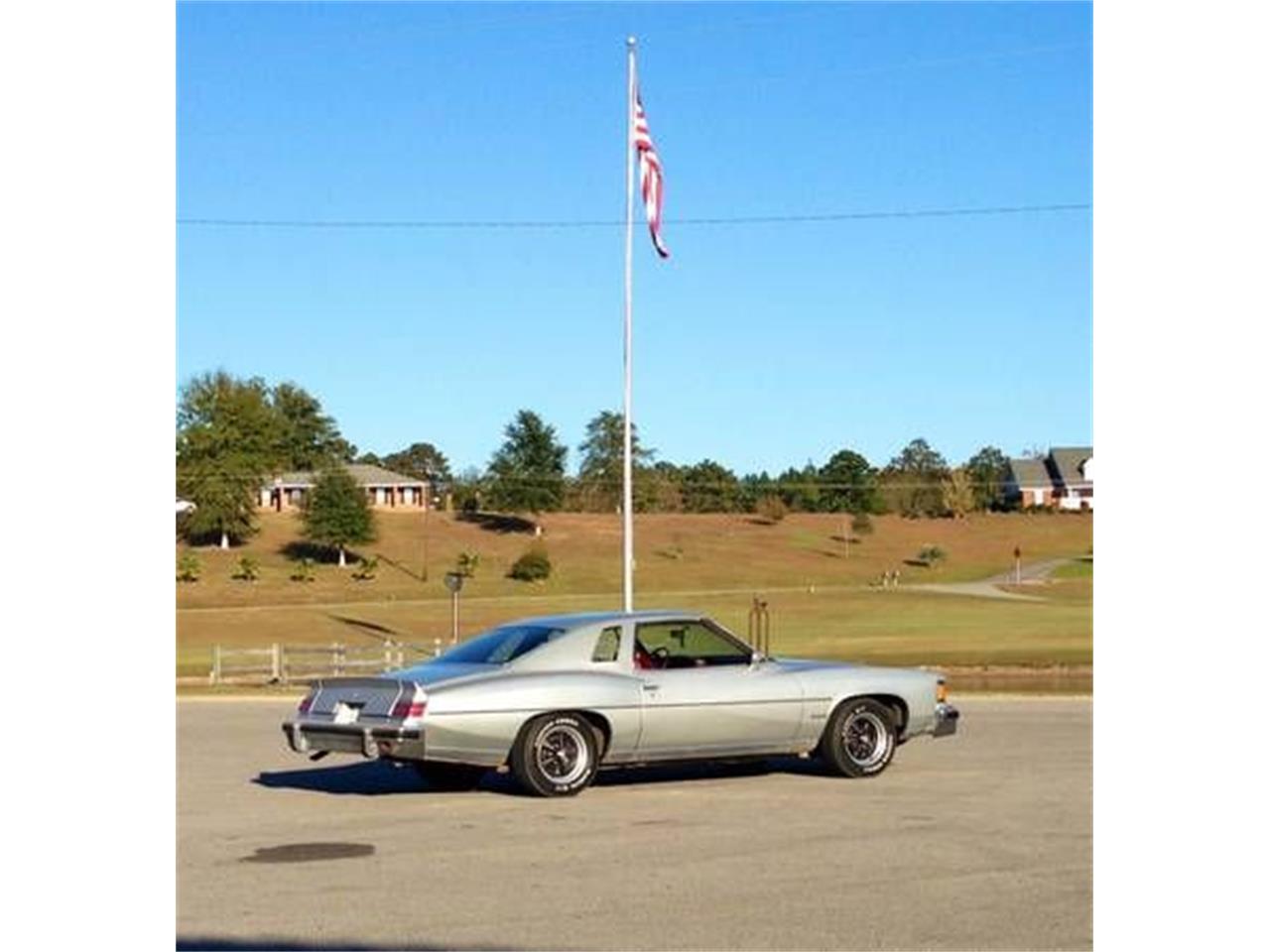 1976 Pontiac LeMans for sale in Cadillac, MI – photo 10
