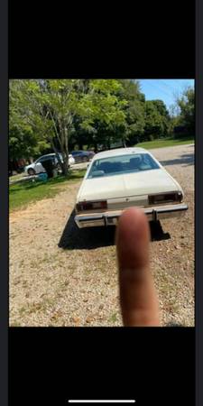 1979 Plymouth Duster - cars & trucks - by owner - vehicle automotive... for sale in Brandenburg, KY – photo 2