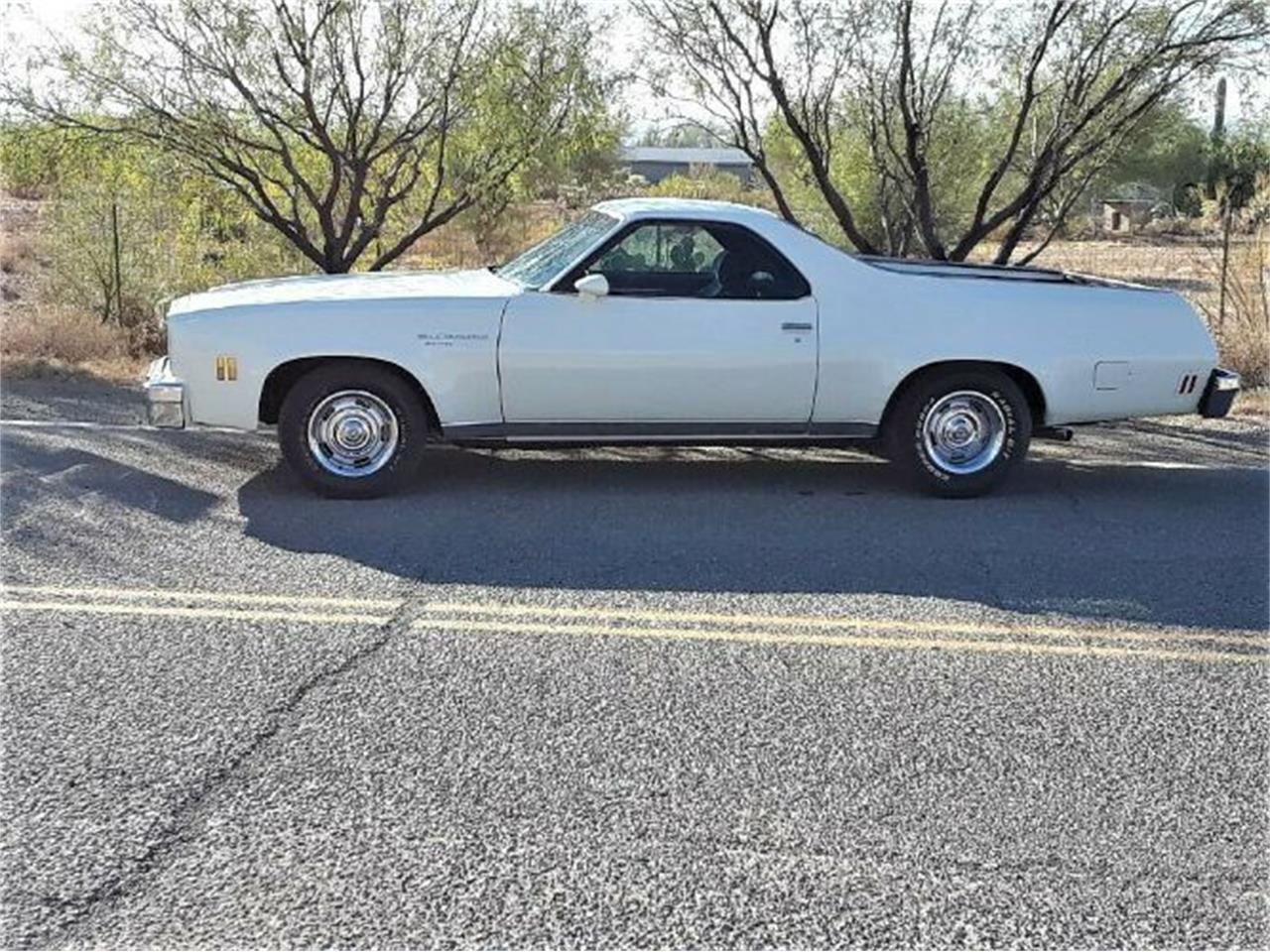 1977 Chevrolet El Camino for sale in Cadillac, MI – photo 4
