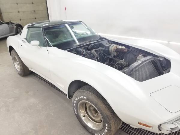 1979 Corvette for sale in Cokato, MN – photo 2