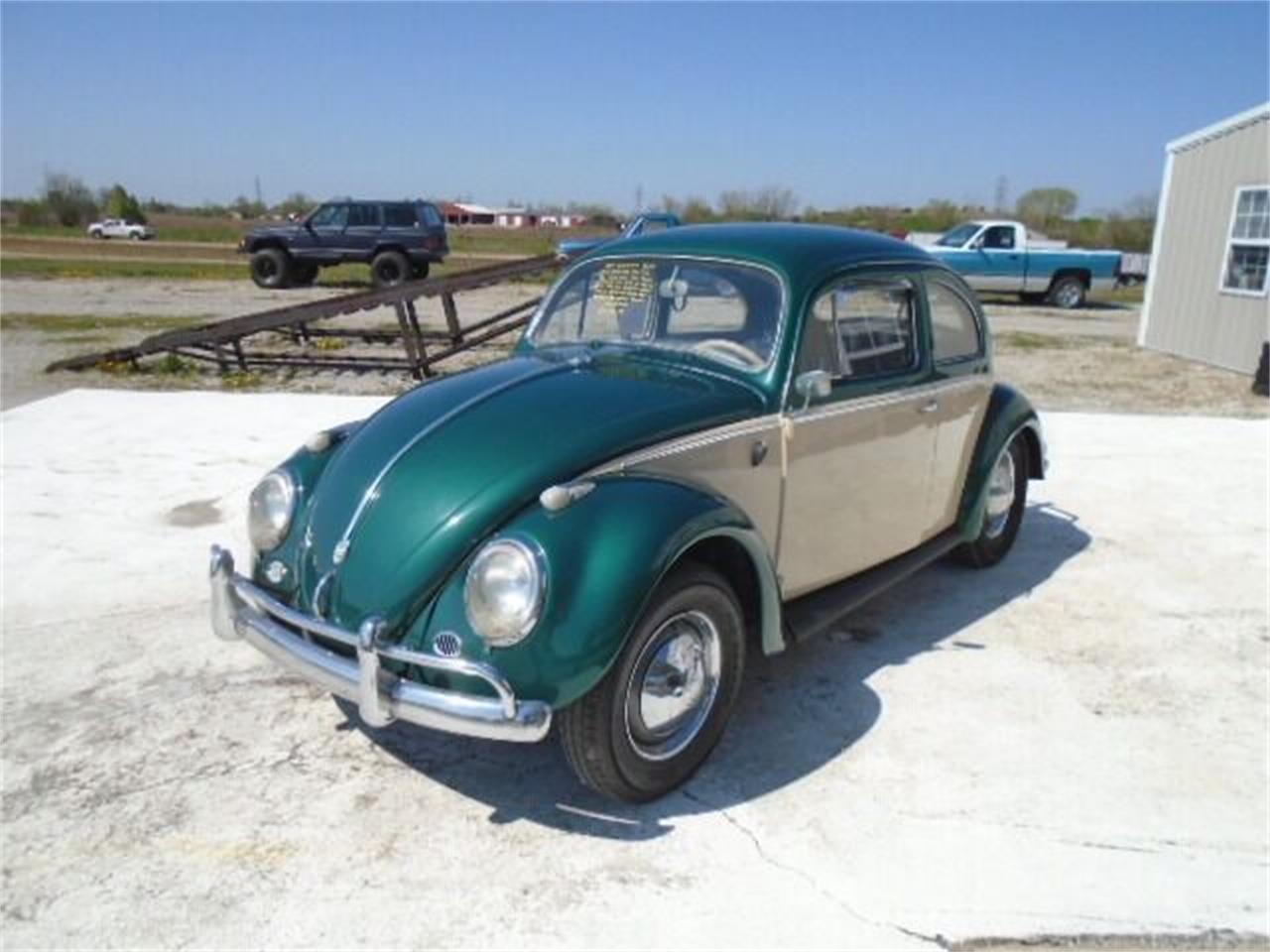 1959 Volkswagen Beetle for sale in Staunton, IL – photo 2