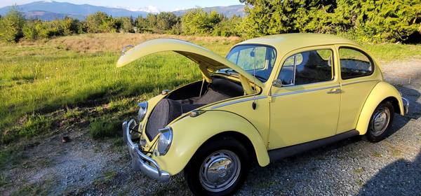 1965 Volkswagen Beetle for sale in Mount Vernon, WA – photo 3