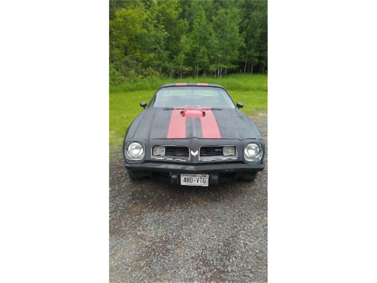 1975 Pontiac Firebird for sale in Cadillac, MI – photo 5