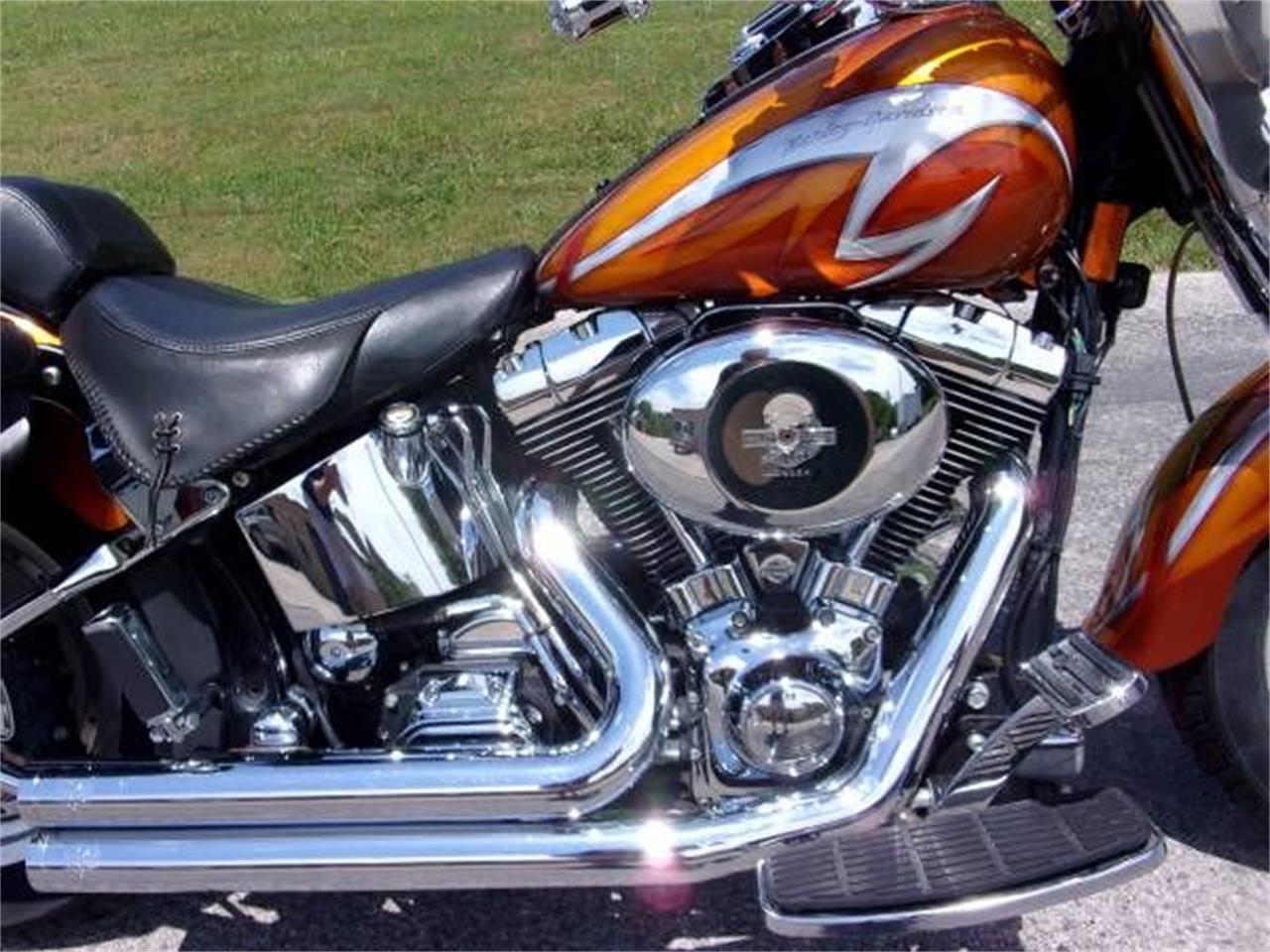 2001 Harley-Davidson Fat Boy for sale in Cadillac, MI – photo 6