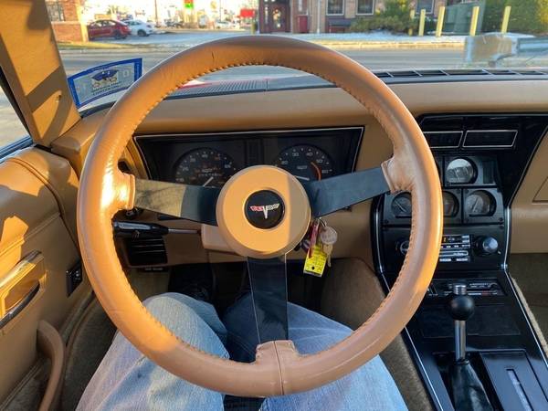 1981 Chevrolet Chevy Corvette - - by dealer - vehicle for sale in Maple Shade, NJ – photo 11