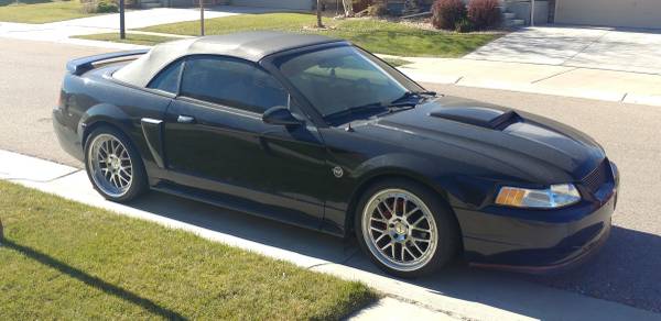 40th Anniversary Mustang GT Convertible (race modified) (must go!) for sale in Fort Collins, CO – photo 2