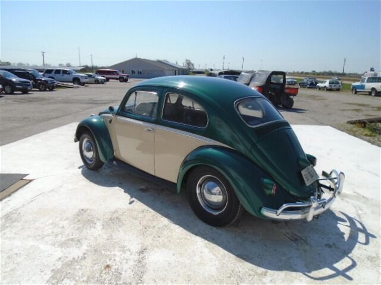1959 Volkswagen Beetle for sale in Staunton, IL – photo 3