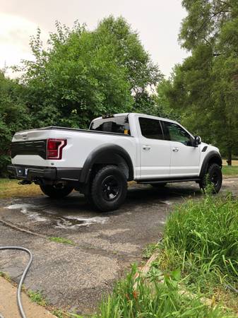 2018 Ford Raptor 802A for sale in West Bloomfield, MI – photo 12