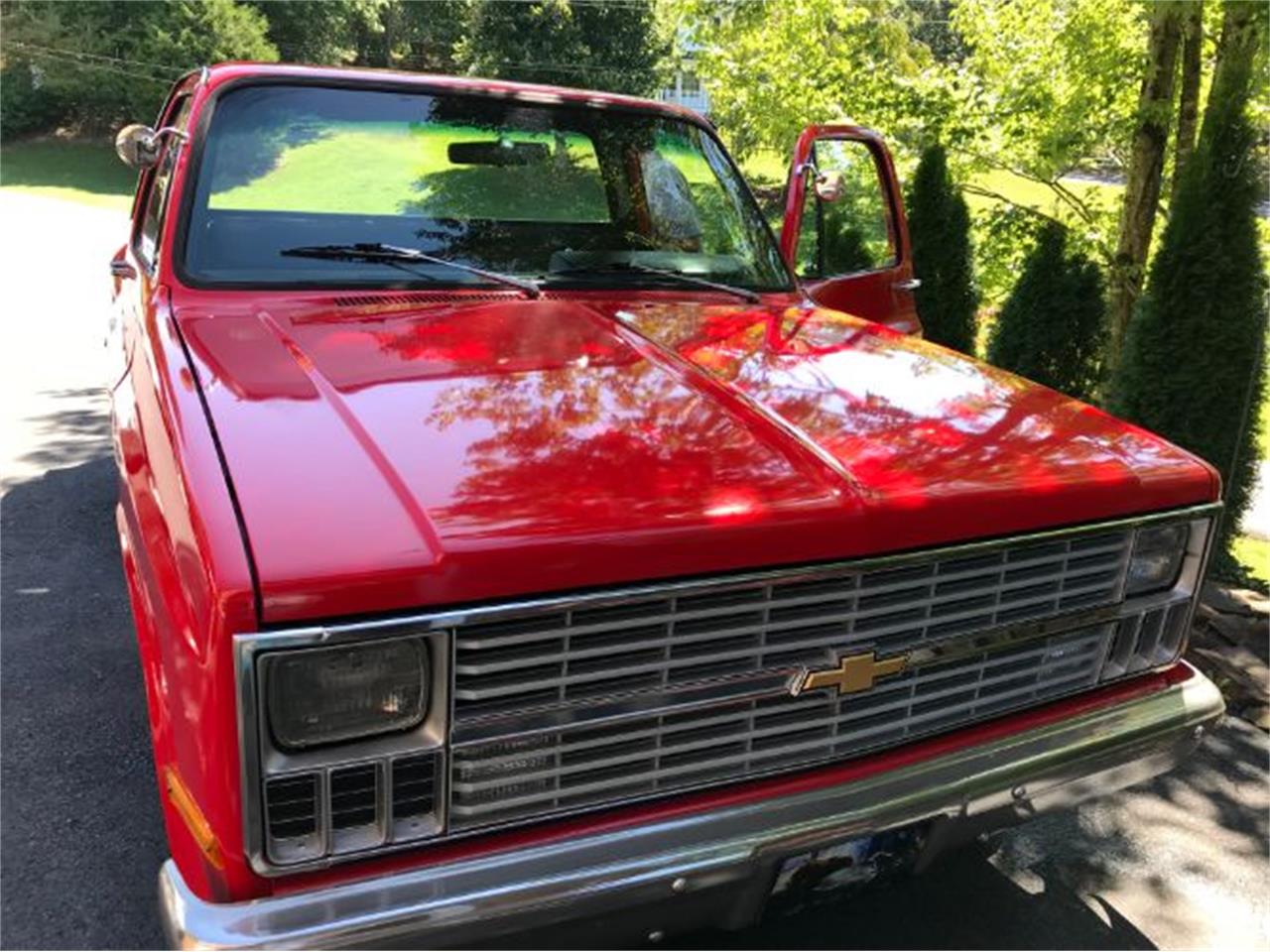 1981 Chevrolet Pickup for sale in Cadillac, MI – photo 4