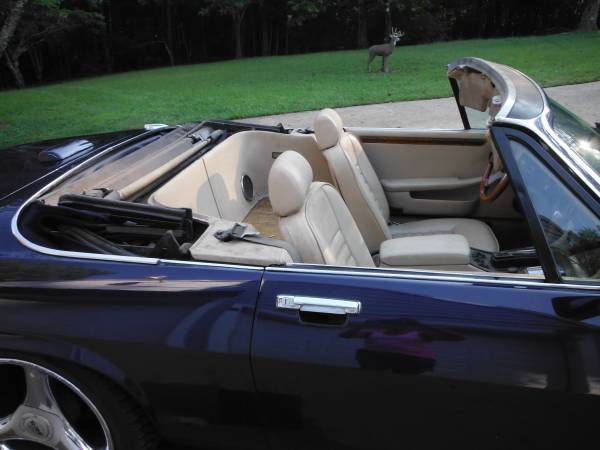 Jaguar XJS Convertable for sale in DAWSONVILLE, GA – photo 21