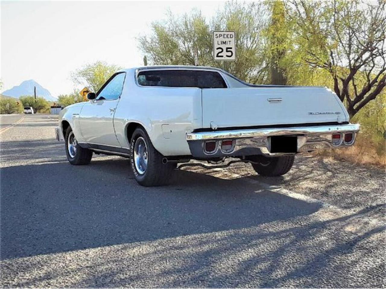 1977 Chevrolet El Camino for sale in Cadillac, MI – photo 6
