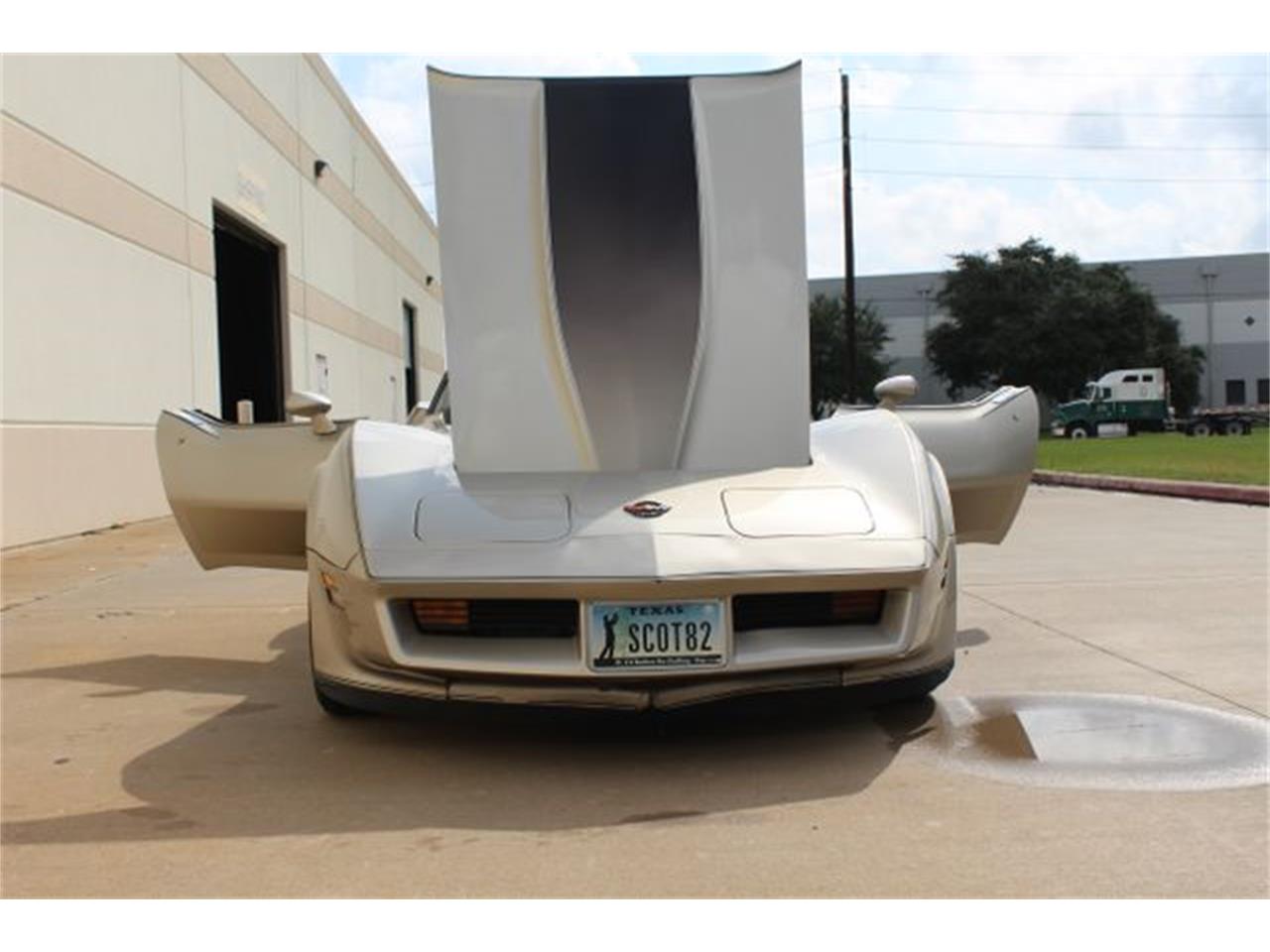 1982 Chevrolet Corvette for sale in Houston, TX – photo 10