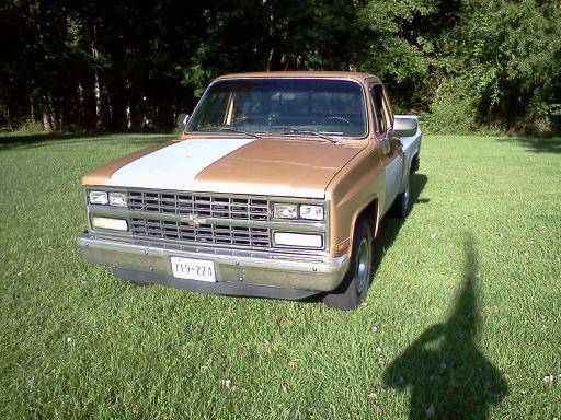 1987 CHEVY C1O SHORTBED - cars & trucks - by owner - vehicle... for sale in Elkton, DE – photo 2