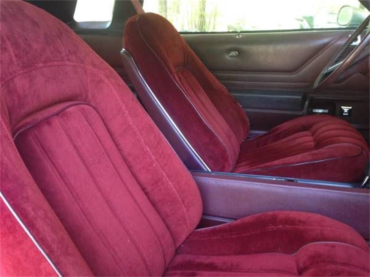 1976 Pontiac LeMans for sale in Cadillac, MI – photo 6