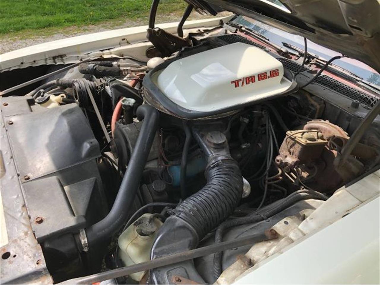 1979 Pontiac Firebird Trans Am for sale in Cadillac, MI – photo 5