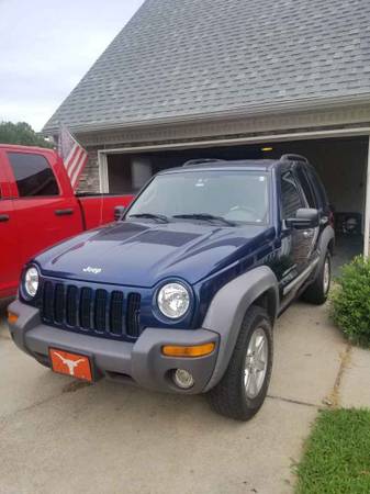 2003 Jeep Liberty for sale in Sunny Side, GA – photo 2